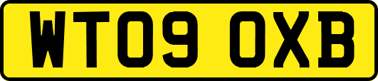 WT09OXB