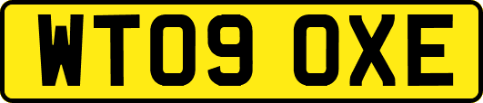 WT09OXE
