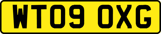 WT09OXG