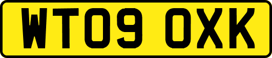 WT09OXK
