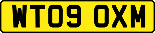 WT09OXM