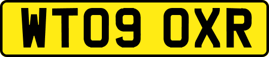 WT09OXR