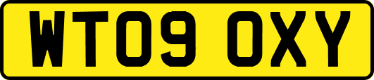 WT09OXY