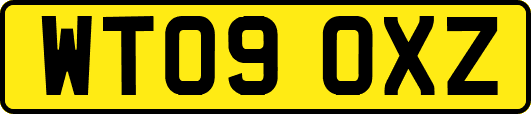 WT09OXZ