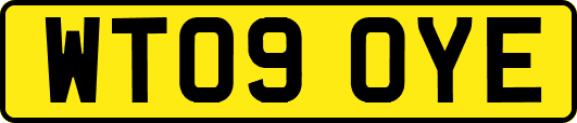 WT09OYE