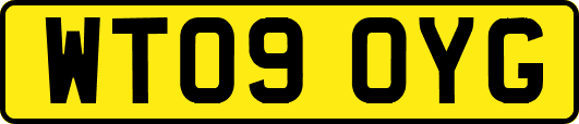 WT09OYG