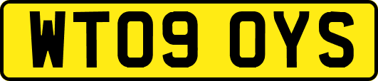 WT09OYS
