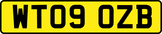 WT09OZB