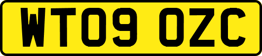 WT09OZC