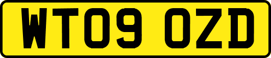WT09OZD