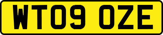 WT09OZE