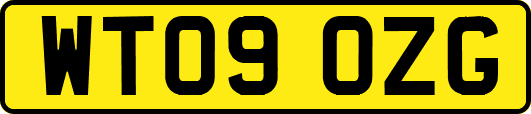 WT09OZG