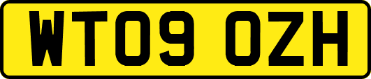 WT09OZH