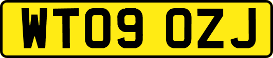 WT09OZJ