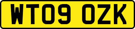 WT09OZK
