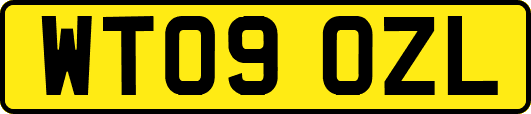 WT09OZL