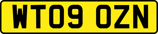 WT09OZN