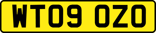 WT09OZO