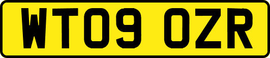 WT09OZR