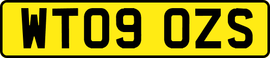 WT09OZS