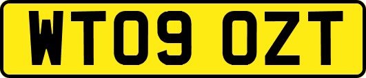 WT09OZT