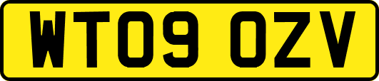 WT09OZV
