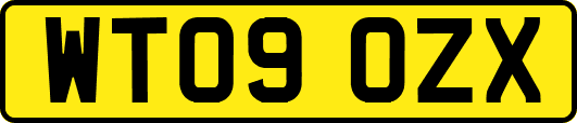 WT09OZX
