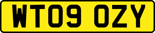 WT09OZY