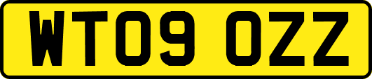 WT09OZZ
