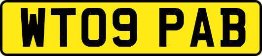 WT09PAB