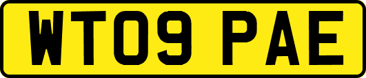 WT09PAE