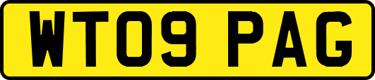 WT09PAG
