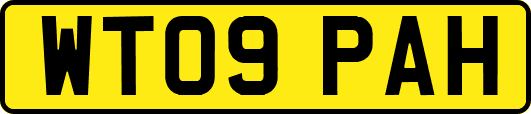 WT09PAH