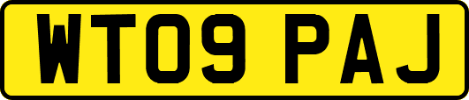 WT09PAJ