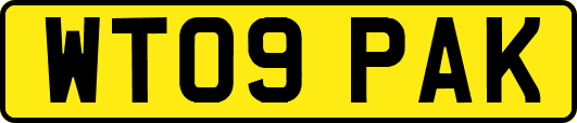 WT09PAK
