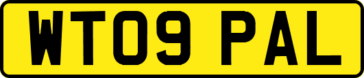 WT09PAL