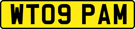 WT09PAM