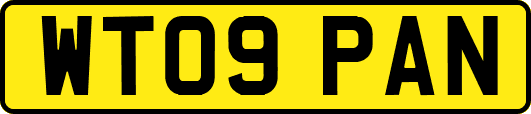 WT09PAN