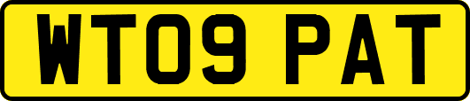 WT09PAT