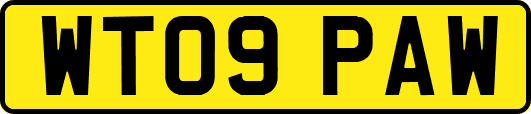 WT09PAW