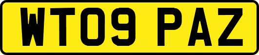 WT09PAZ