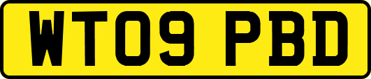 WT09PBD