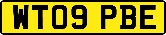 WT09PBE