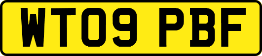 WT09PBF