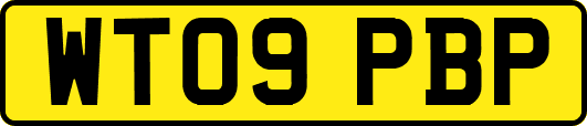 WT09PBP