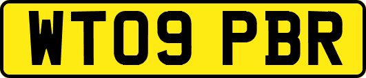 WT09PBR