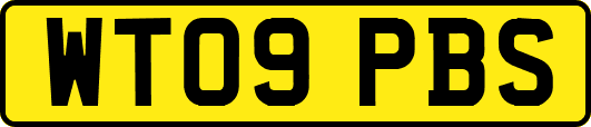 WT09PBS