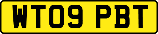 WT09PBT