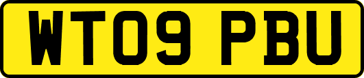 WT09PBU