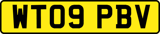 WT09PBV